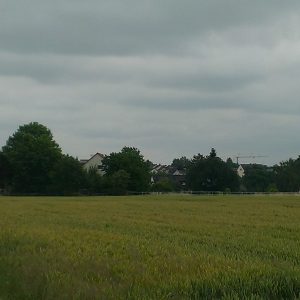 Mobilfunk Sendemast am Harheimer Weg, links. Rechts im Bild der Schornstein der Ziegelei mit den ausgedienten Sendeanlagen.
