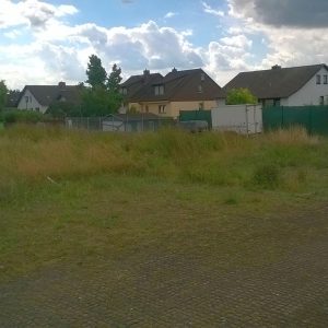 Das Bild zeigt den Parkplatz am Ende Homburger Straße. Die Abgrenzung von Parkplatz und anschließender Wiese ist schwer erkennbar, weil das Gras auf dem Parkplatz wuchert.durch den
