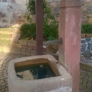 Der Brunnen ist nun nach einigen trockenen Jahren wieder gefüllt